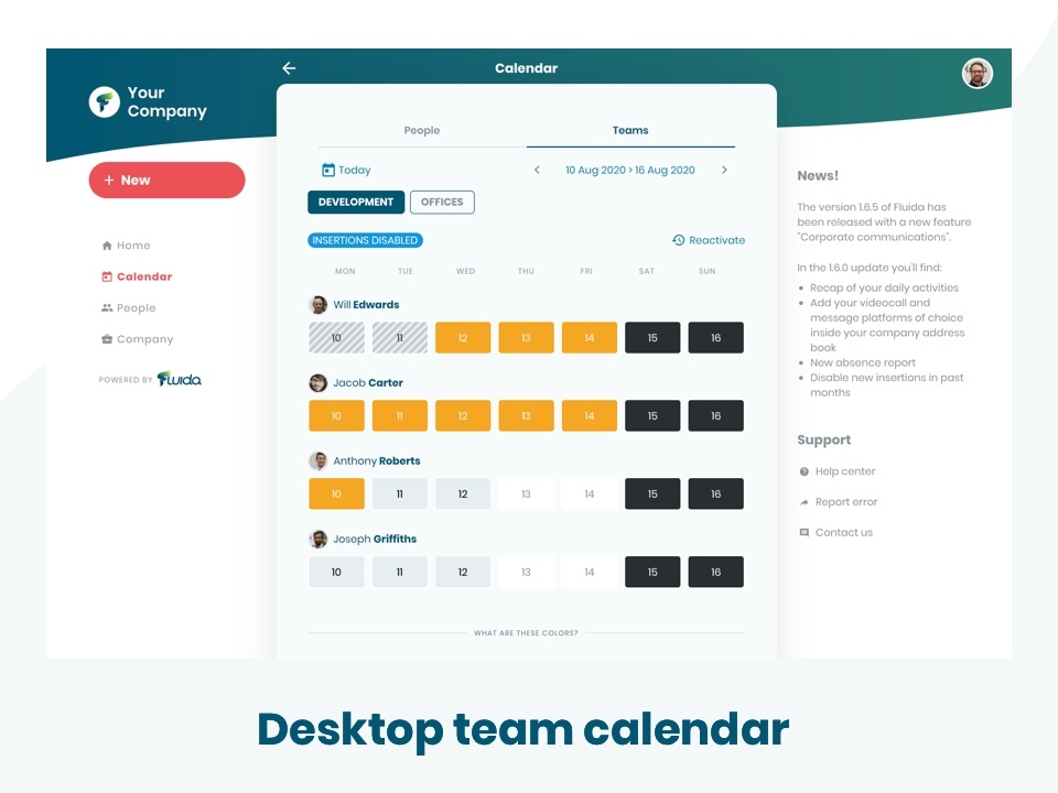 Desktop-team-calendar-in-Fluida