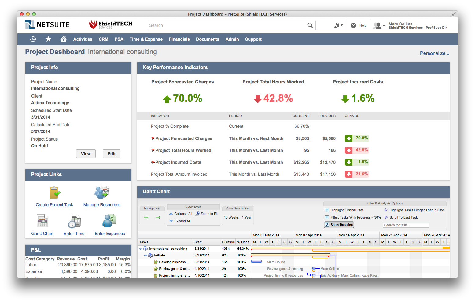 netsuite-erp-project-dashboard