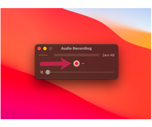 When-you-are-ready-to-start-your-recording,-click-the-