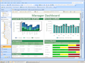 CRM - Manager Dashboard
