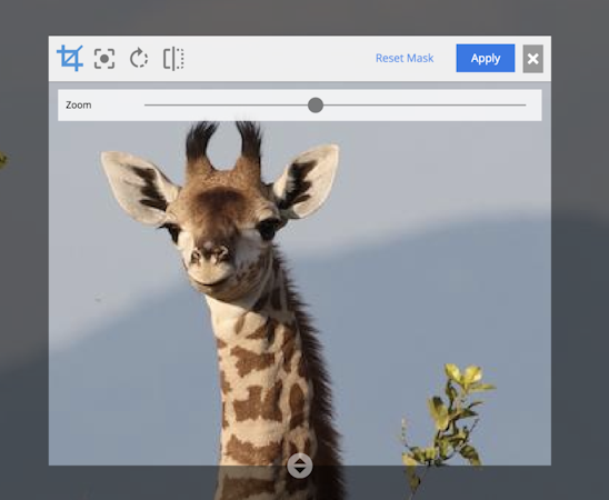 Enonic XP image management