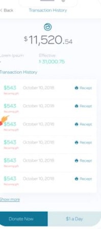 Charidy transaction history