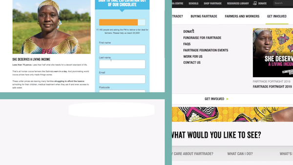 Engaging Networks online forms