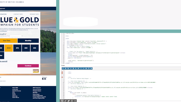 Engaging Networks customizable interface