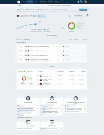 7Geese - view of objectives overview page