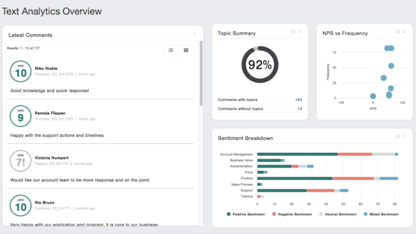 CustomerGauge text analysis overview