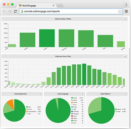 ActivEngage reporting