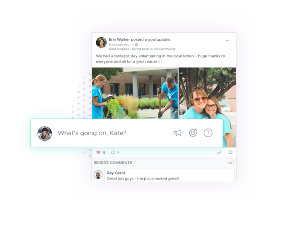 Activity Feed