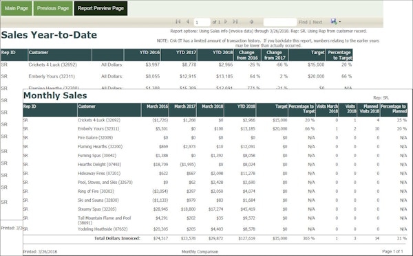 Crik-IT report preview page