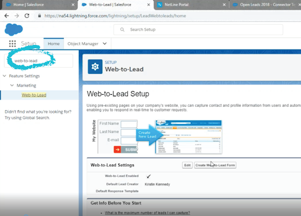 NetLine web-to-lead setup