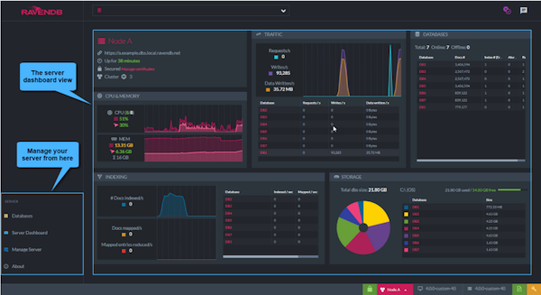 RavenDB server dashboard