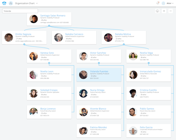 Bizneo HR organizational hierarchy