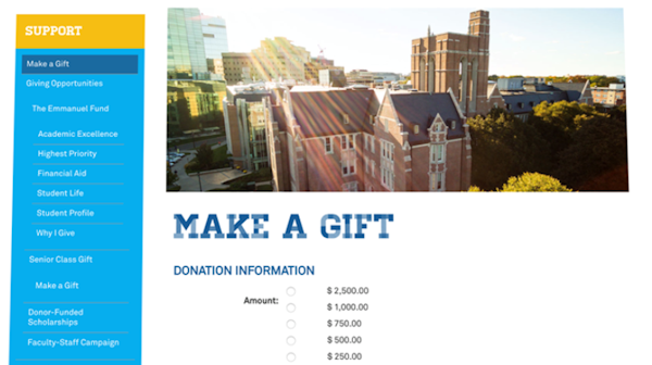 Blackbaud NetCommunity donation tracking