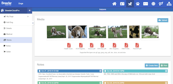 Breeder Cloud Pro store media