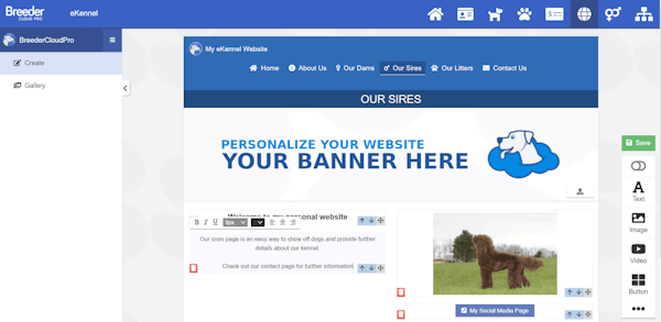 Breeder Cloud Pro create websites