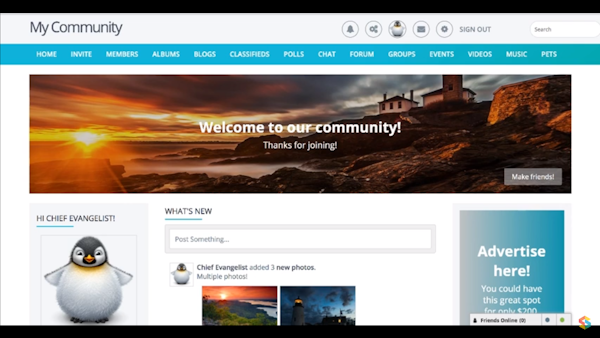 SocialEngine PHP dashboard