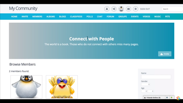 SocialEngine PHP activity feed
