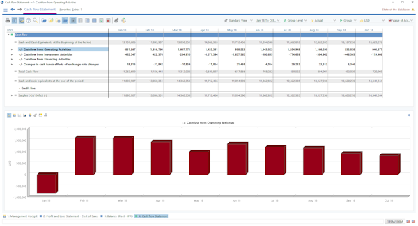 Cash Flow Overview