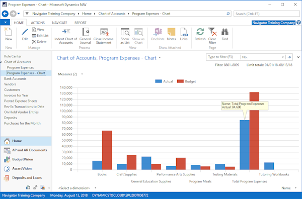 Program expenses shows as a chart of budget to actual