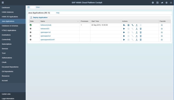 SAP HANA Cloud java applications