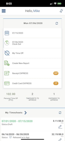 DATABASICS time and expense mobile