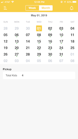 Calendar view
