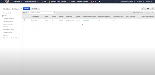 Amazon ElastiCache cluster details