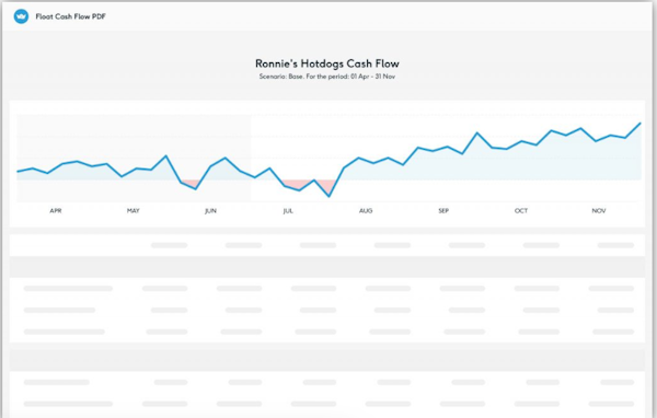 Float cash flow reporting