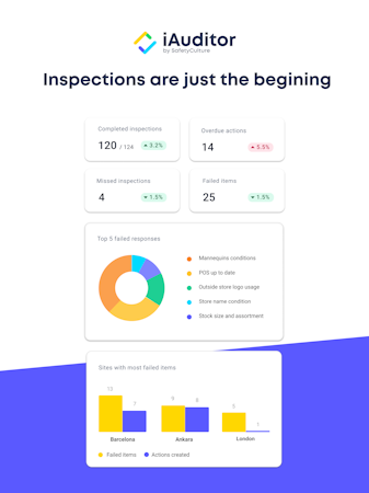 iAuditor analytics