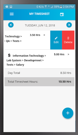 Hour Timesheet individual timesheets
