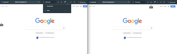 Samesurf Cobrowsing