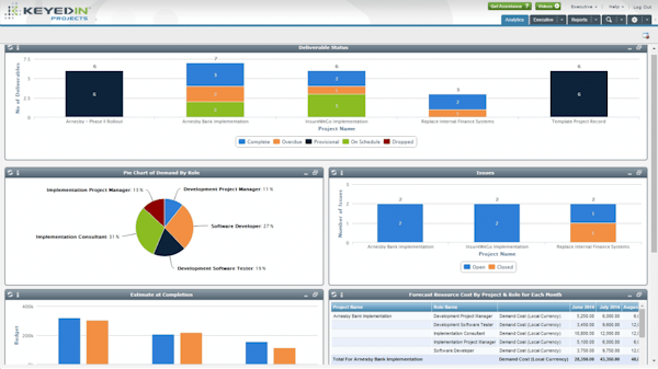 Manage Portfolios, Programs and Projects