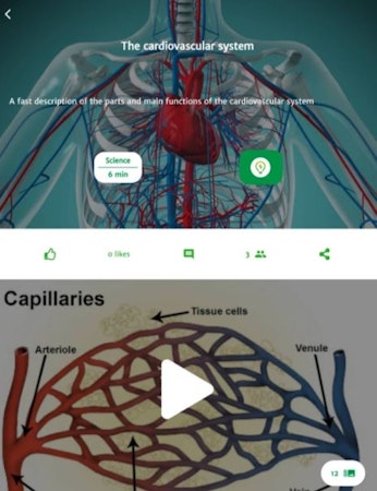 Learnie courses