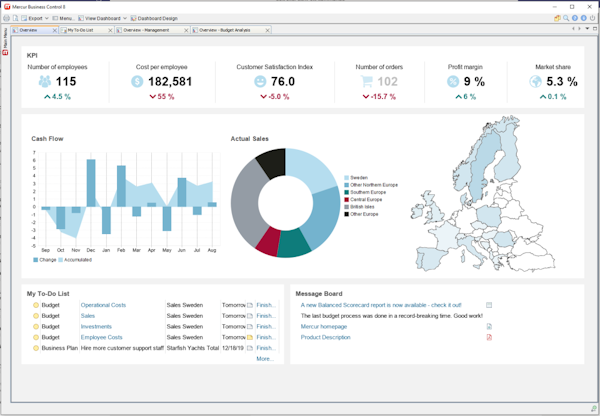 Mercur Business Control dashboard