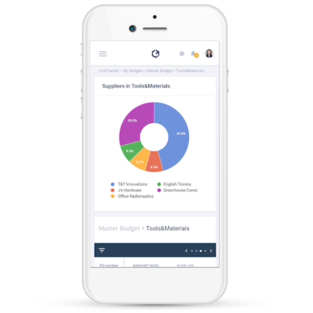 CostTracker mobile budget categories