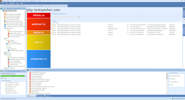 Netsparker issue tracking screenshot