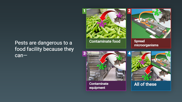 Intertek Alchemy player screenshot
