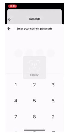Pleo passcode change