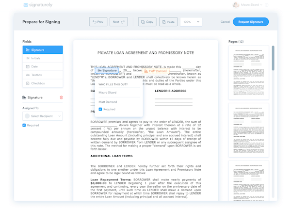 Signaturely document preparation