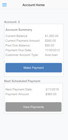 PaymentVision account details
