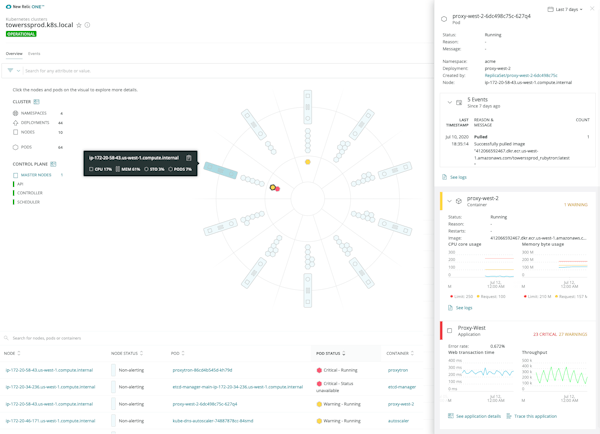 New Relic One infrastructure monitoring