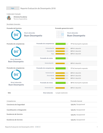 Rankmi PDF reports