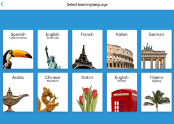 Rosetta Stone Enterprise main interface