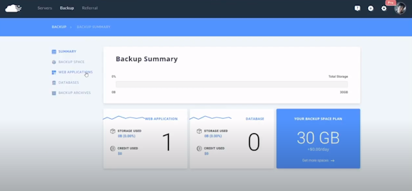 RunCloud backup summary