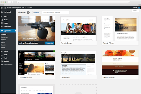 WordPress theme options