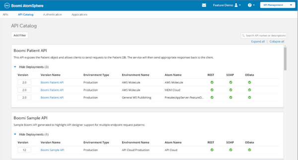 Boomi API Management