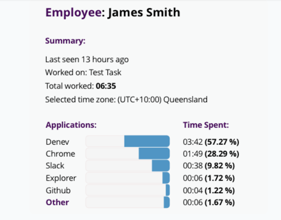 Monitask employee summary