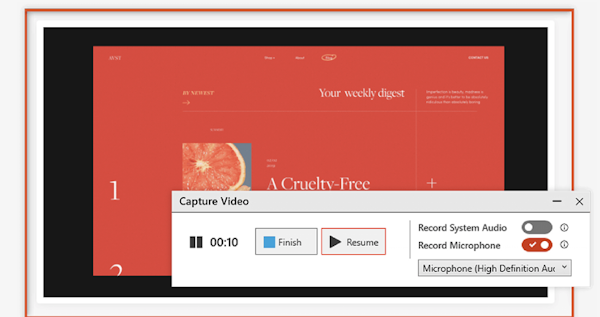 TinyTake record voice