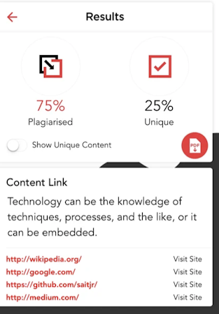 Plagiarism Detector results