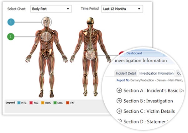 Body part statistical analysis